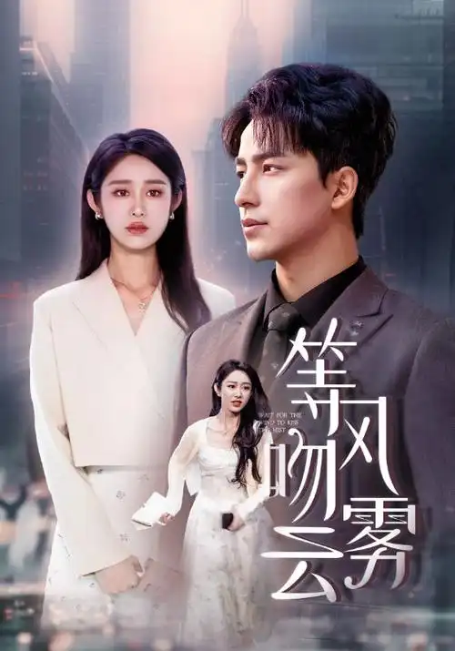 沉默的证词 热播电视剧全集手机免费在线观看